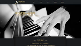 武汉网页制作|文化|郑州七弦音乐文化传播集团案例