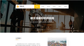 六安丽泰商贸有限公司案例-武汉专业设计网站的公司